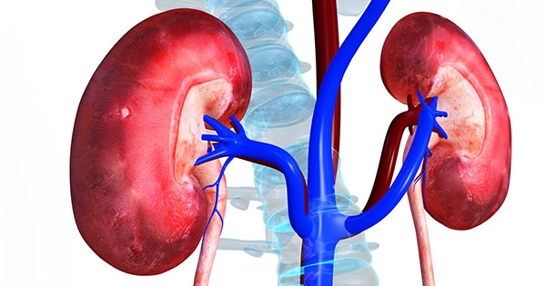 The Leading cause of Kidney Disease which damages the Kidney